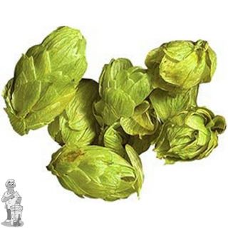 Nelson Sauvin NZL hopbloemen 125 gram