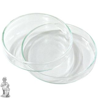 Petrischaal glas 80 X 15 mm.