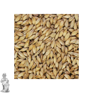 Weyermann BARKE pilsner mout 2,5-4,5 EBC