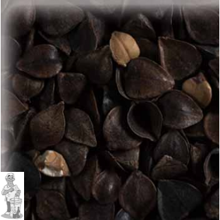 Chateau Buckwheat/ boekweit 4-15 EBC