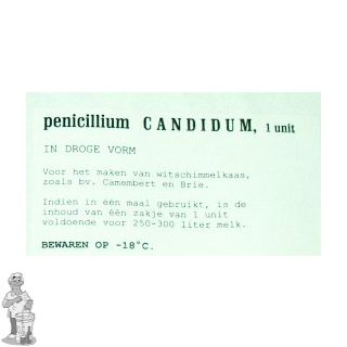 Penicillium Candidum Neige