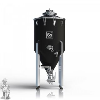  Ss Brewtech™ Chronical 2.0 64 l (17 gal)
