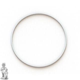 Grainfather Perforated Plate Seal 1 st