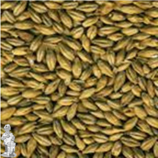 Dingemans Green Pale Ale mout 9 EBC