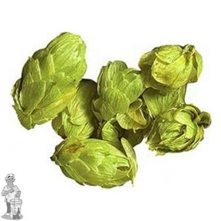 Mosaic USA hopbloemen 125 gram