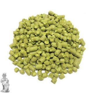 Dr. Rudi NZ 100 gram Hopkorrels 