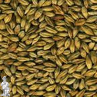 Melanoidin mout 70 EBC 25 kg Dingemans (alleen af te halen in de winkel)