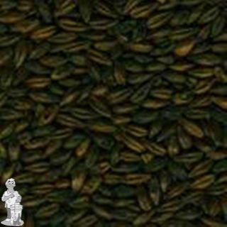 Weyermann® Chocolade Tarwemout 900-1200 EBC