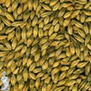 Dingemans Munchener 17 EBC 5 kg