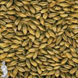 Mouterij Castle Malting winterpils 2,5- 3 EBC