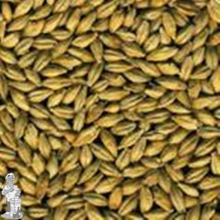 Pils Mout 3 EBC 25 kg  (alleen in de winkels af te halen)