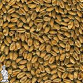 Dingemans Tarwemout licht 5 kg