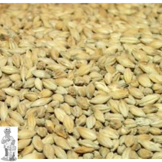 Thomas Fawcett & Sons Mild Ale