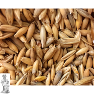 Pale Oat  Malt  ( Thomas Fawcett & Sons) 5 EBC