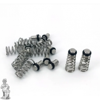 Poppet & Spring (Value Pack)