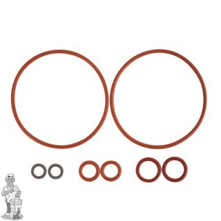 Blichmann
RipTide™ O-ringset. 
