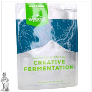 WYEAST 5733 Pediococcus damnosus