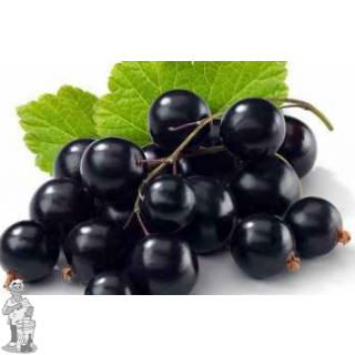 Zwarte Bes aroma natuurlijk 50 ml