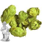 Cascade USA hopbloemen 125 gram